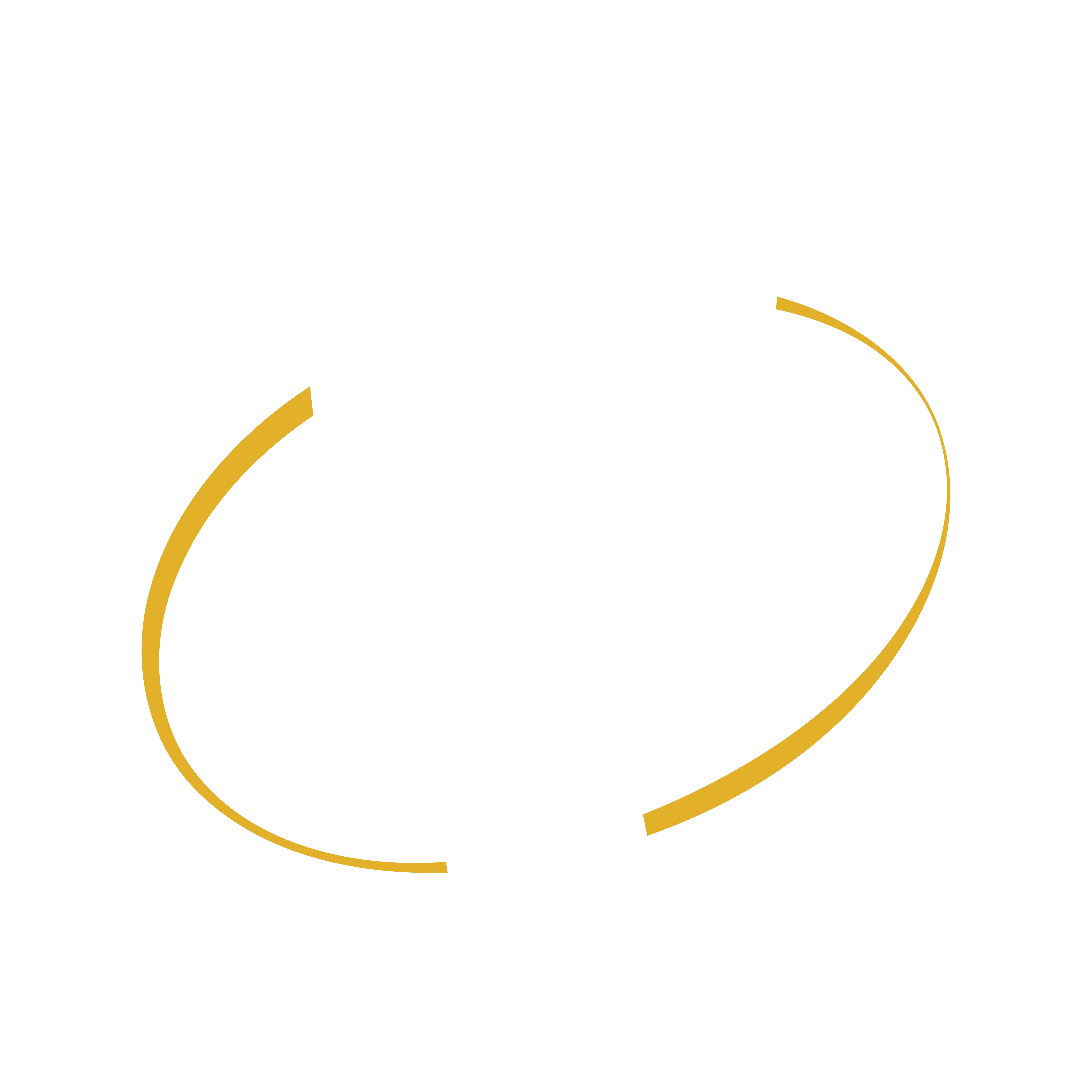 Logo Icon