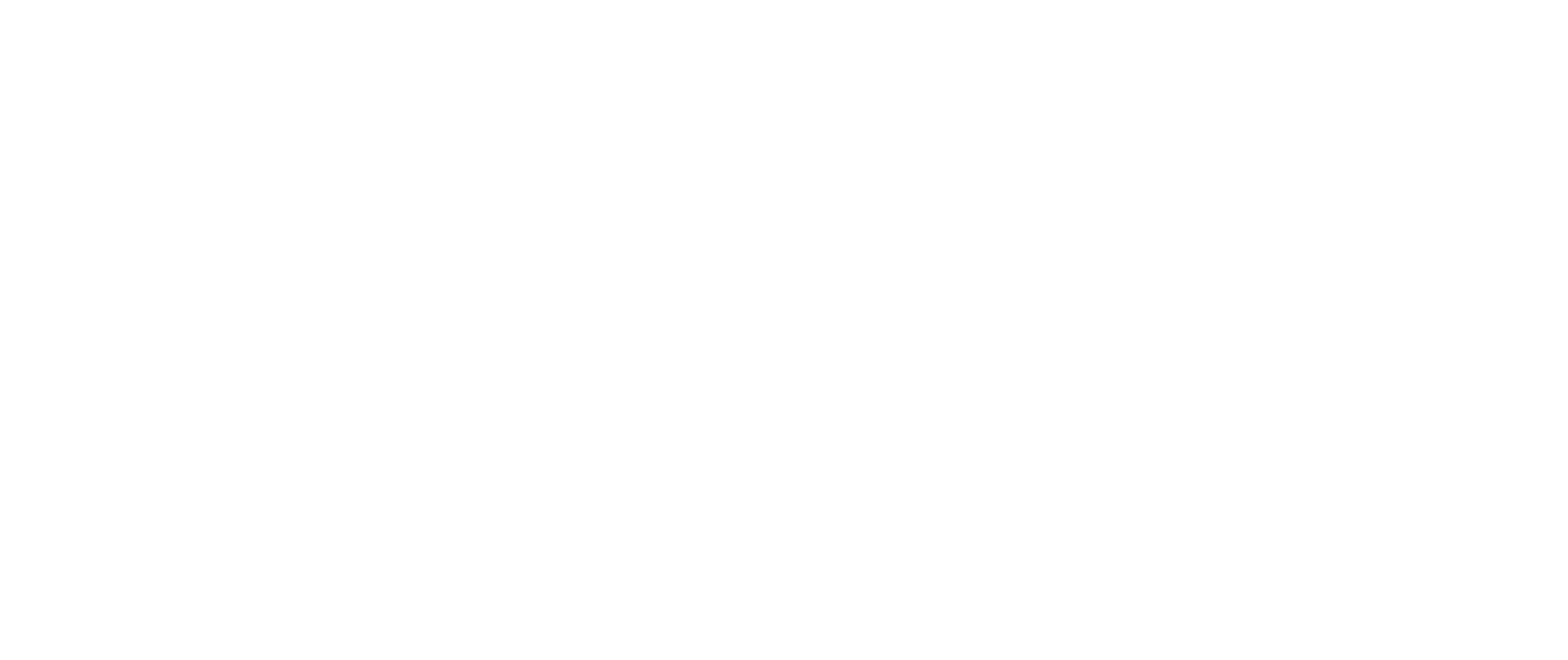 The Ballet Show